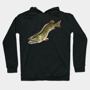 Northern Pike Fishing Art Illustration Hoodie